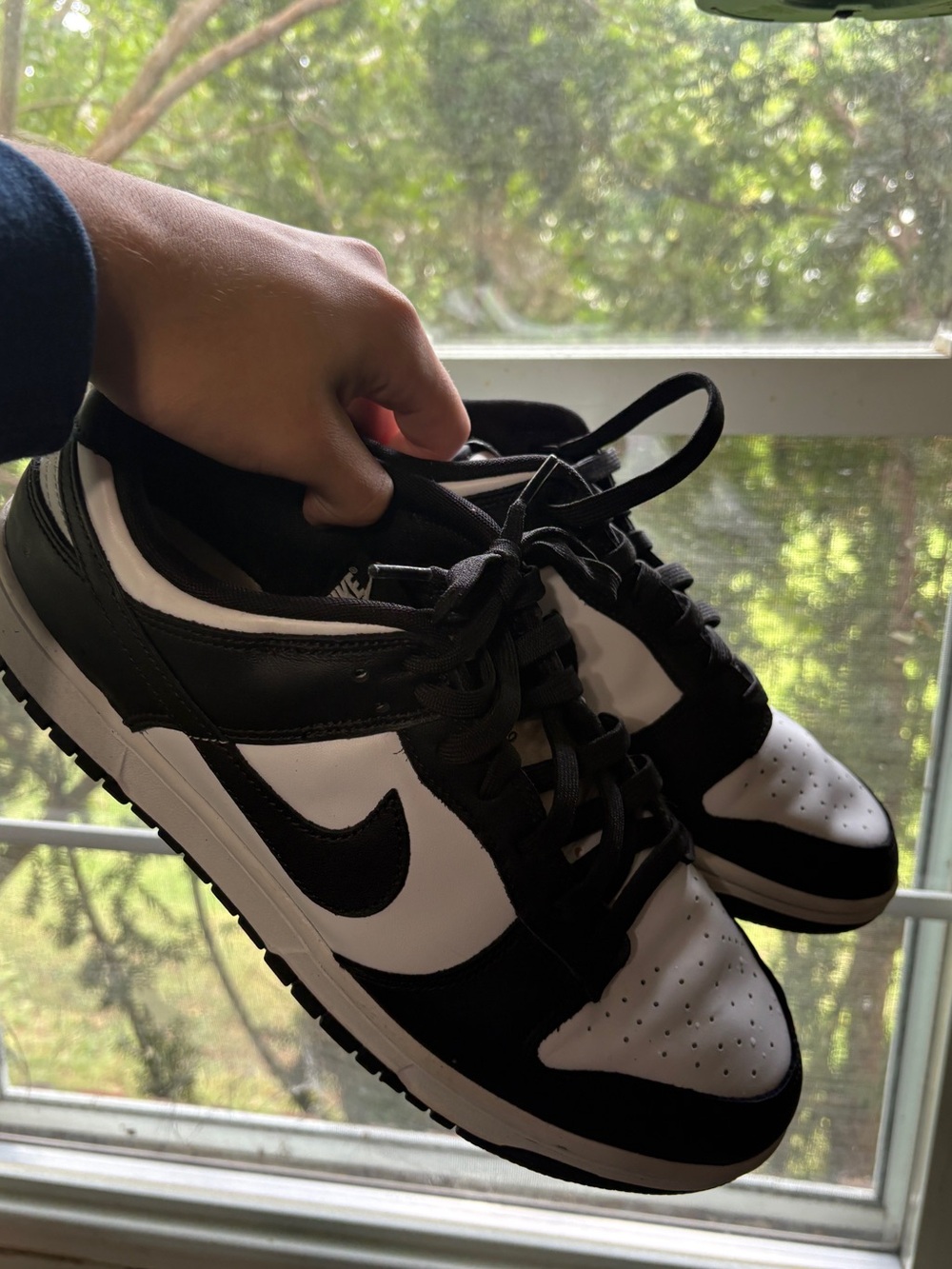 Nike Men’s Black and White Low-Top Sneakers — Swoosh Design